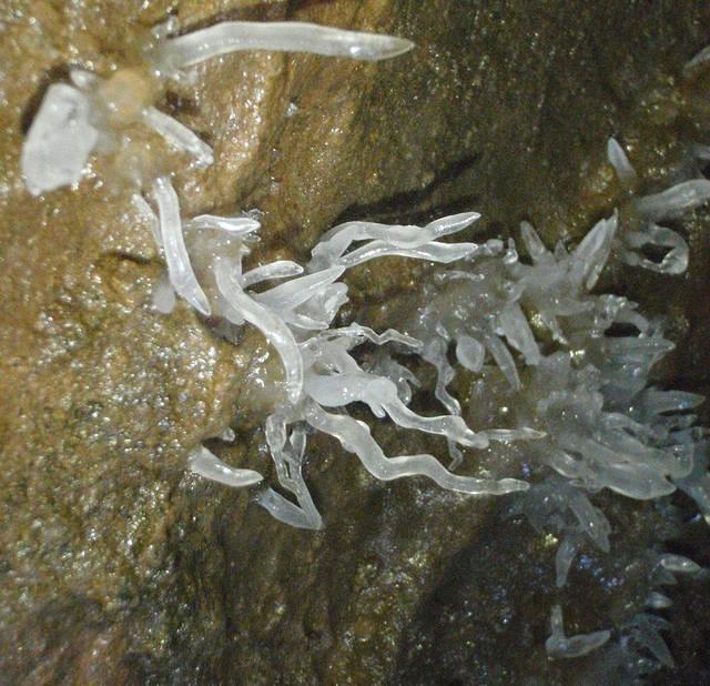 P5120111crop