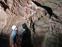 Shute Shelve Cavern